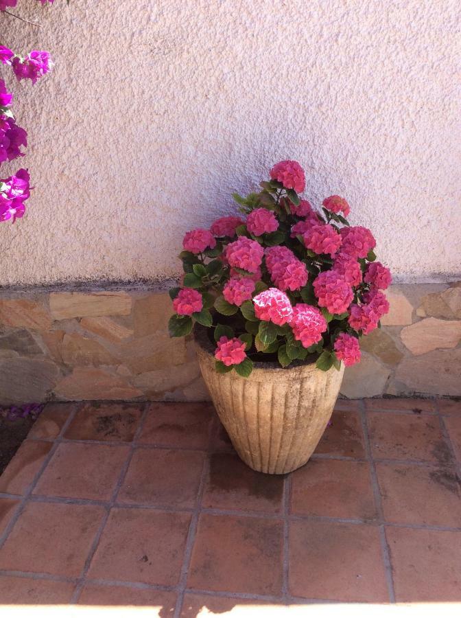 Apartamentos Y Habitaciones Kai Marbella (Adults Only) Exterior photo